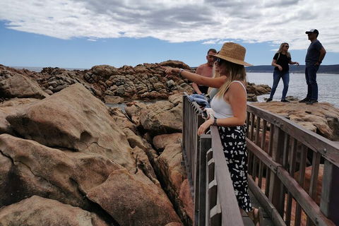 Margaret River Impression Day Tour From Perth - Your Accommodation 4