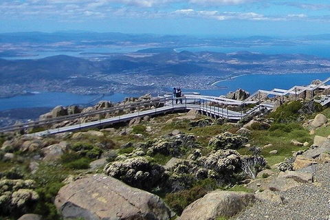 Mt Wellington Ultimate Experience Tour From Hobart - Your Accommodation 1