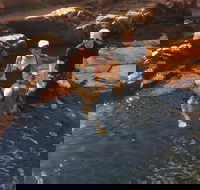 One Day Litchfield Park Adventures - Your Accommodation