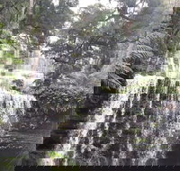 6-Day Hearty Tasmania Tour Tasmania in a Circle - Your Accommodation