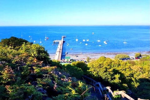 Mornington Peninsula Sightseeing Tour For 2-6 Guests. - Your Accommodation 1