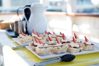 90min Brisbane River Cruise/Tour