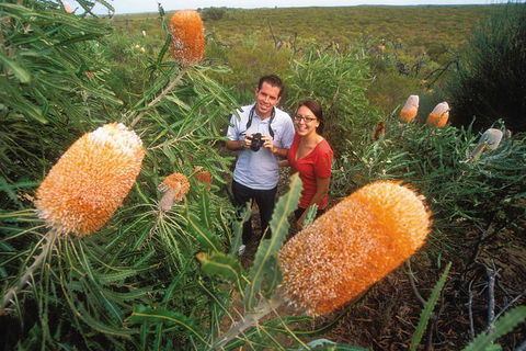 Best Of Perth Wildflower Season Day Trip - Your Accommodation 0