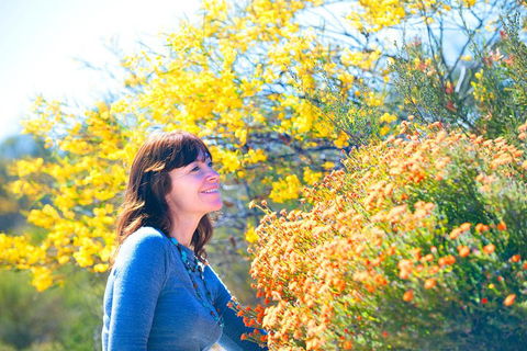 Best Of Perth Wildflower Season Day Trip - Your Accommodation 2