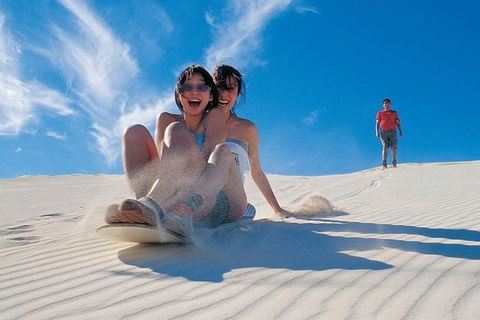Full Day Pinnacle Desert Explorer From Perth Including Hillarys And Lancelin Sandboarding - Your Accommodation 1