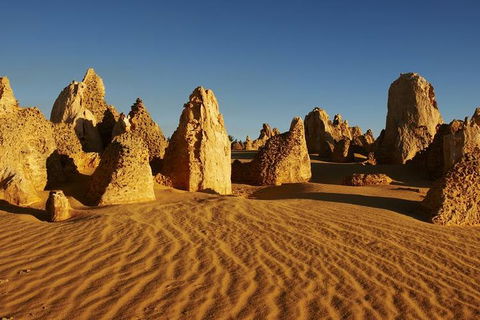 Full Day Pinnacle Desert Explorer From Perth Including Hillarys And Lancelin Sandboarding - Your Accommodation 3