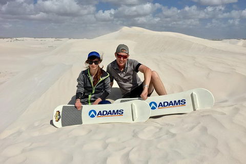 Full Day Pinnacle Desert Explorer From Perth Including Hillarys And Lancelin Sandboarding - Your Accommodation 4