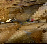 2-Day Wave Rock York Wildflowers  Aboriginal Experience