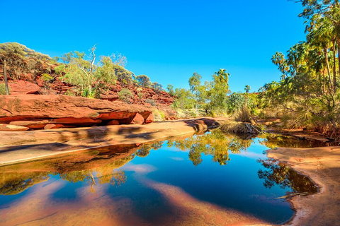 7-Day Guided Tour Of Alice Springs With Accommodation Included - Your Accommodation 1