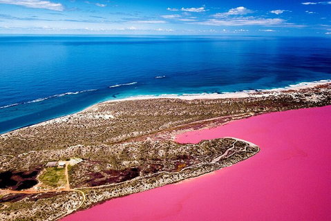 Pink Lake Small-Group Buggy Tour - Your Accommodation 0