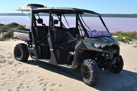 Pink Lake Small-Group Buggy Tour - Your Accommodation 1