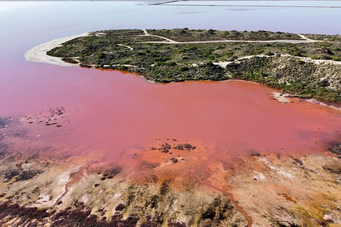 Pink Lake Small-Group Buggy Tour - Your Accommodation 2