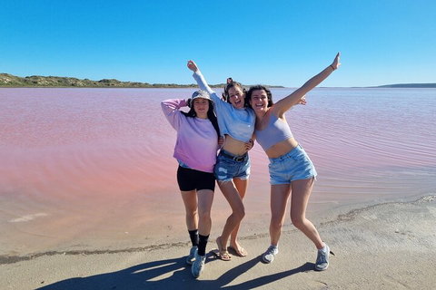 Pink Lake Small-Group Buggy Tour - Your Accommodation 3