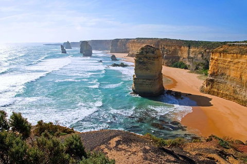 Great Ocean Road Small-Group Ecotour From Melbourne - Your Accommodation 2