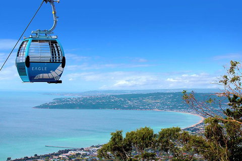 Mornington Peninsula Small Group Day Tour - Your Accommodation 2