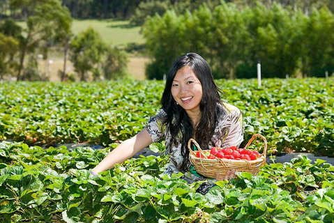 Mornington Peninsula Small Group Day Tour - Your Accommodation 4