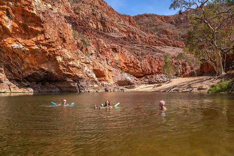 Private 9 Hour Walk And Waterhole Tour In West MacDonnell Ranges - Your Accommodation 2
