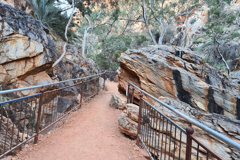 West MacDonnell Ranges Half - Day Tour - Your Accommodation 0