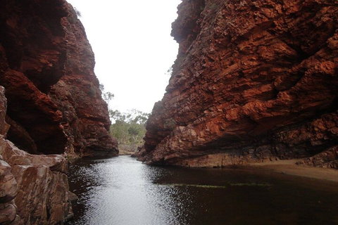 West MacDonnell Ranges Half - Day Tour - Your Accommodation 4
