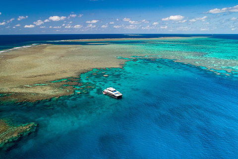 Calypso Outer Great Barrier Reef Cruise From Port Douglas - Your Accommodation 1