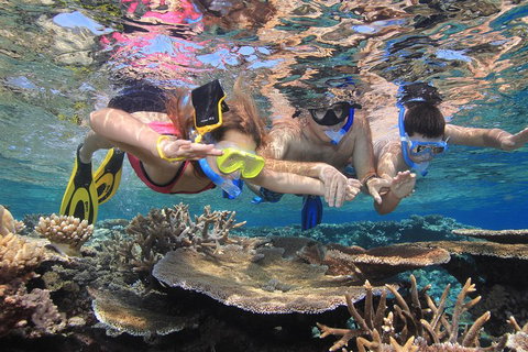 Calypso Outer Great Barrier Reef Cruise From Port Douglas - Your Accommodation 3