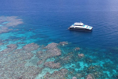Calypso Outer Great Barrier Reef Cruise From Port Douglas - Your Accommodation 4