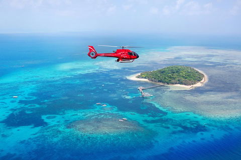 Fly To Green Island - Cruise Return - Your Accommodation 3