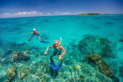 Fly To Green Island - Cruise Return - Your Accommodation 4