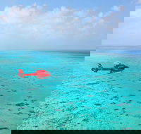 Port Douglas Scenic Flights