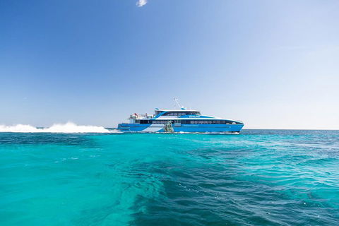 Rottnest Island Bike, Snorkel & Ferry Package From Fremantle - Your Accommodation 0