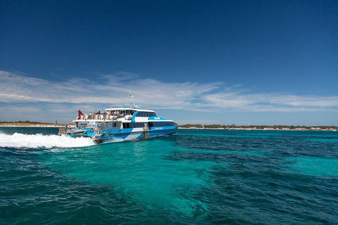 Perth To Rottnest Island Roundtrip Ferry Ticket - Your Accommodation 4