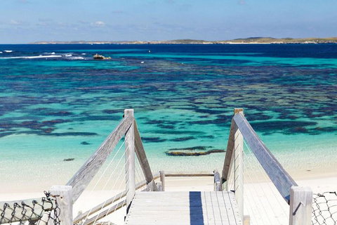 Rottnest Island Bike, Snorkel & Ferry Package From Perth - Your Accommodation 4