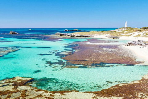 Rottnest Island Bike, Snorkel & Ferry Package From Perth - Your Accommodation 5