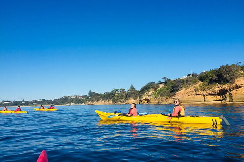 Mornington Peninsula Kayak Coastline Tour Of Dolphin Sanctuary - Your Accommodation 1