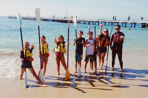 Mornington Peninsula Kayak Coastline Tour Of Dolphin Sanctuary - Your Accommodation 3