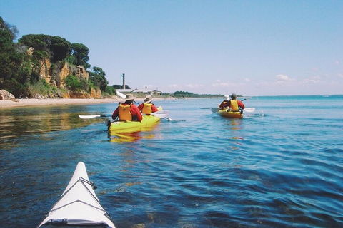 Mornington Peninsula Kayak Coastline Tour Of Dolphin Sanctuary - Your Accommodation 5