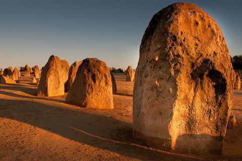 Wave Rock And Pinnacles Air & Ground Tour - Your Accommodation 1