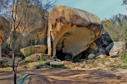 Wave Rock And Pinnacles Air & Ground Tour - Your Accommodation 3