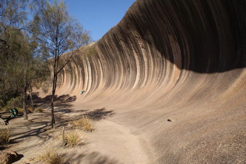 Wave Rock And Pinnacles Air & Ground Tour - Your Accommodation 5