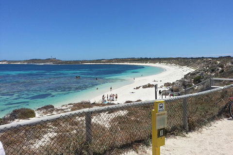 Wave Rock, Pinnacles And Rottnest One Day Aeroplane Tour - Your Accommodation 2