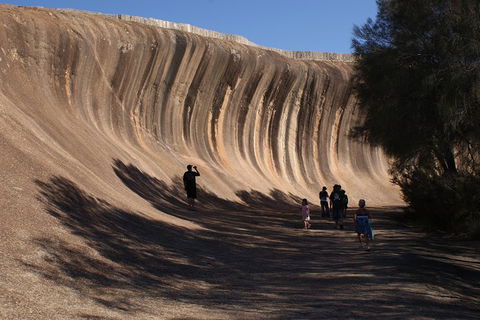 Wave Rock, Pinnacles And Rottnest One Day Aeroplane Tour - Your Accommodation 4