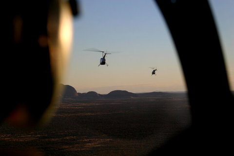 Helicopter Scenic: Lizard Safari - Your Accommodation 1