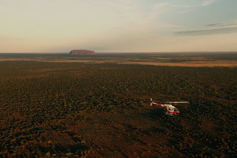 Helicopter Scenic: Lizard Safari - Your Accommodation 4