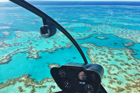 Reef & Whitehaven Landing - Your Accommodation 1