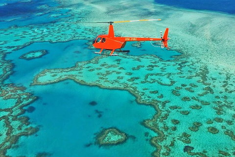 Reef & Whitehaven Landing - Your Accommodation 4