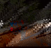 Alice Springs Desert Park Nocturnal Tour - Your Accommodation