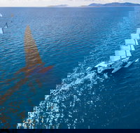 2-Night Whitsunday Islands Sailing Adventure on Trimaran Avatar - Your Accommodation