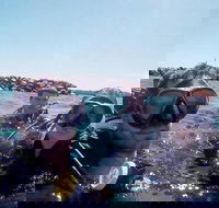 Wave Break Island Scuba Diving on the Gold Coast - Your Accommodation