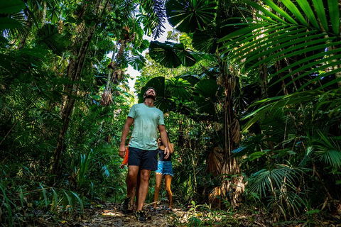 Full Day Daintree Rainforest And Mossman Gorge Tour - Your Accommodation 0