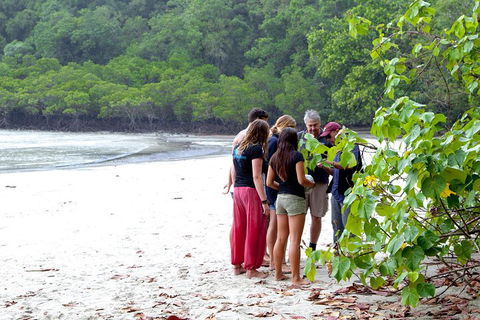 Full Day Daintree Rainforest And Mossman Gorge Tour - Your Accommodation 2